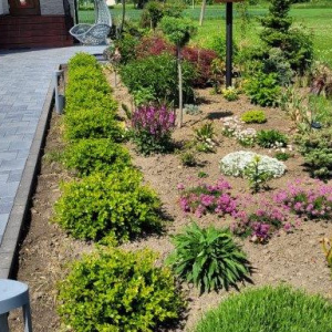 20240520_135325 (002)